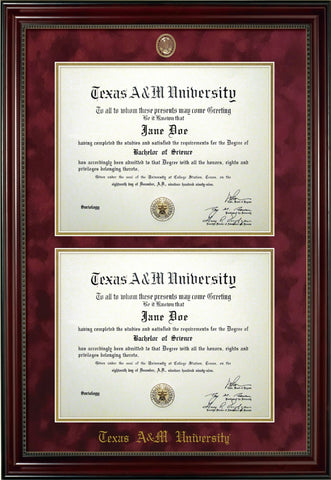 Campus Scene Diploma Frame in Gallery with Maroon and Gold Mats