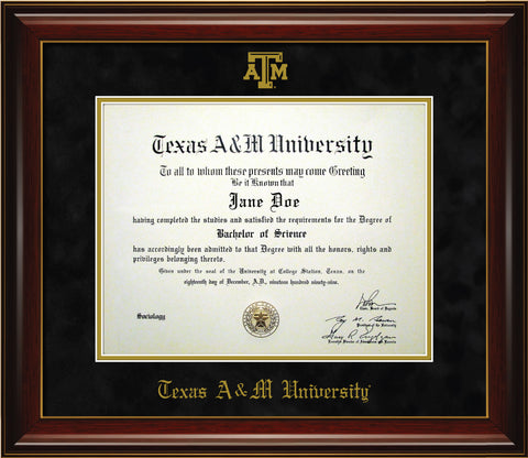 Campus Scene Diploma Frame in Gallery with Maroon and Gold Mats