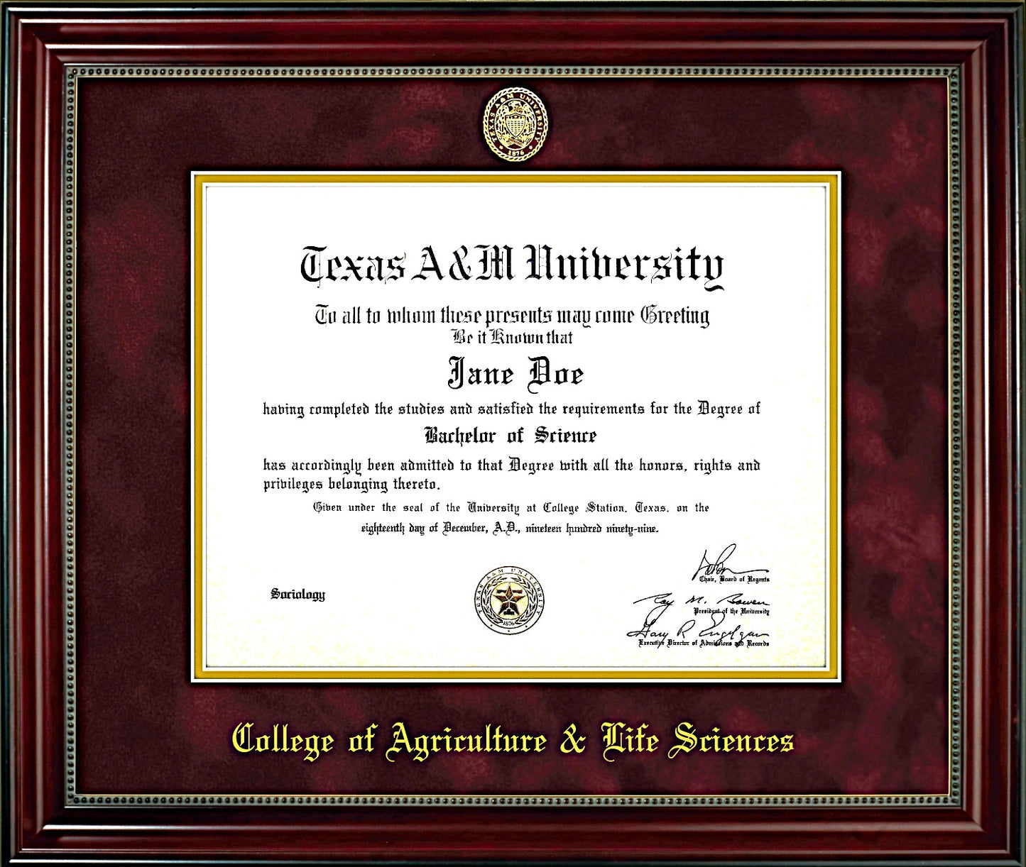 AGRICULTURAL & LIFE SCIENCES FRAME: Beaded Cherry Maroon Mat with Embossed Ring Crest Seal