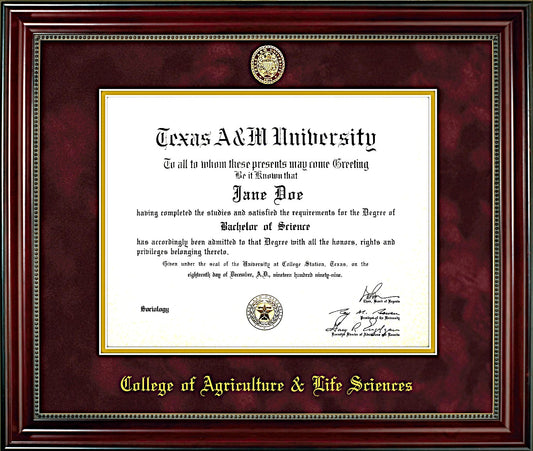 College of Agricultural & Life Sciences Diploma Frame: Beaded Cherry/ Maroon Mat/ Ring Crest