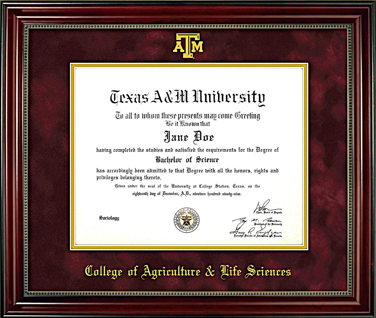 AGRICULTURAL & LIFE SCIENCES FRAME: Beaded Cherry Maroon Mat with Embossed ATM
