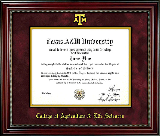 College of Agricultural & Life Sciences Diploma Frame: Beaded Cherry/ Maroon Mat/ ATM