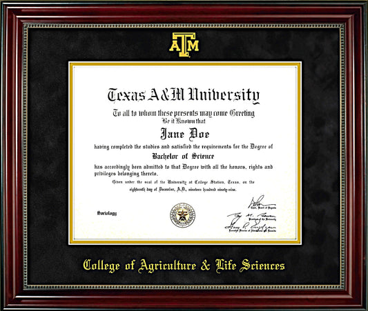 College of Agricultural & Life Sciences Diploma Frame: Beaded Cherry/ Black Mat/ ATM