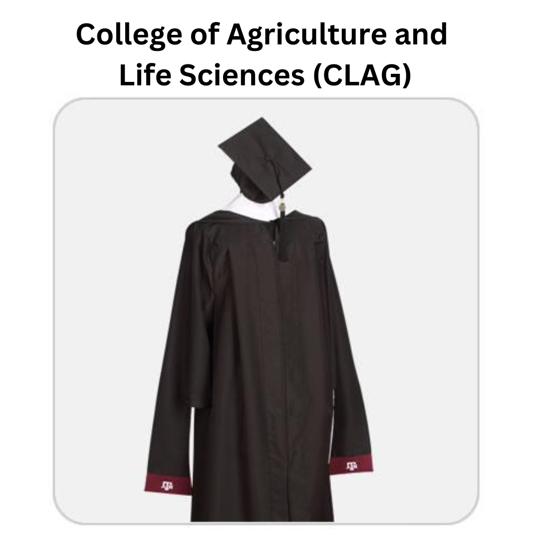Masters Regalia - College of Agriculture and Life Sciences (CLAG) - TXAG Store 