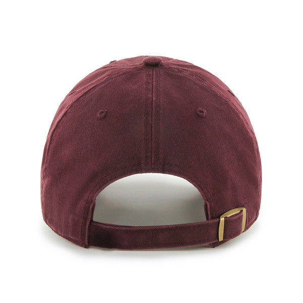 Simple Texas - Maroon - TXAG Store 